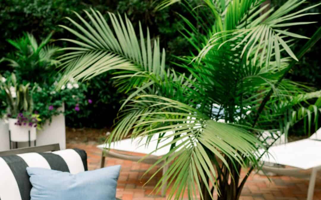 How to Set Up Your Home for a Smoother, Stress-Free Summer