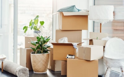 Moving & Home Organization Tips for Spring
